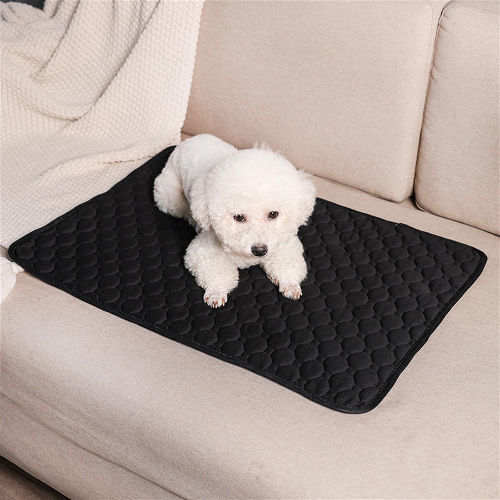 Lukery 2 Pack Washable Pee Pads for Dogs, Waterproof Reusable Dog Pee Pads Non-Slip Soft Pet Diaper Pads Fast Drying Puppy Training Pads for Home,Travel, Car (S(50 * 35cm),Black)