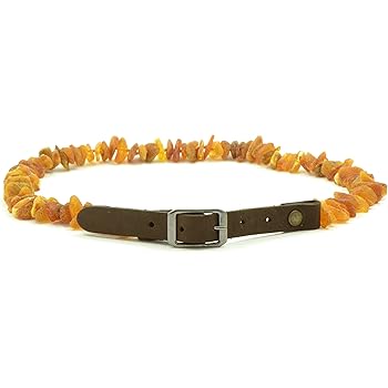 amber cat collar