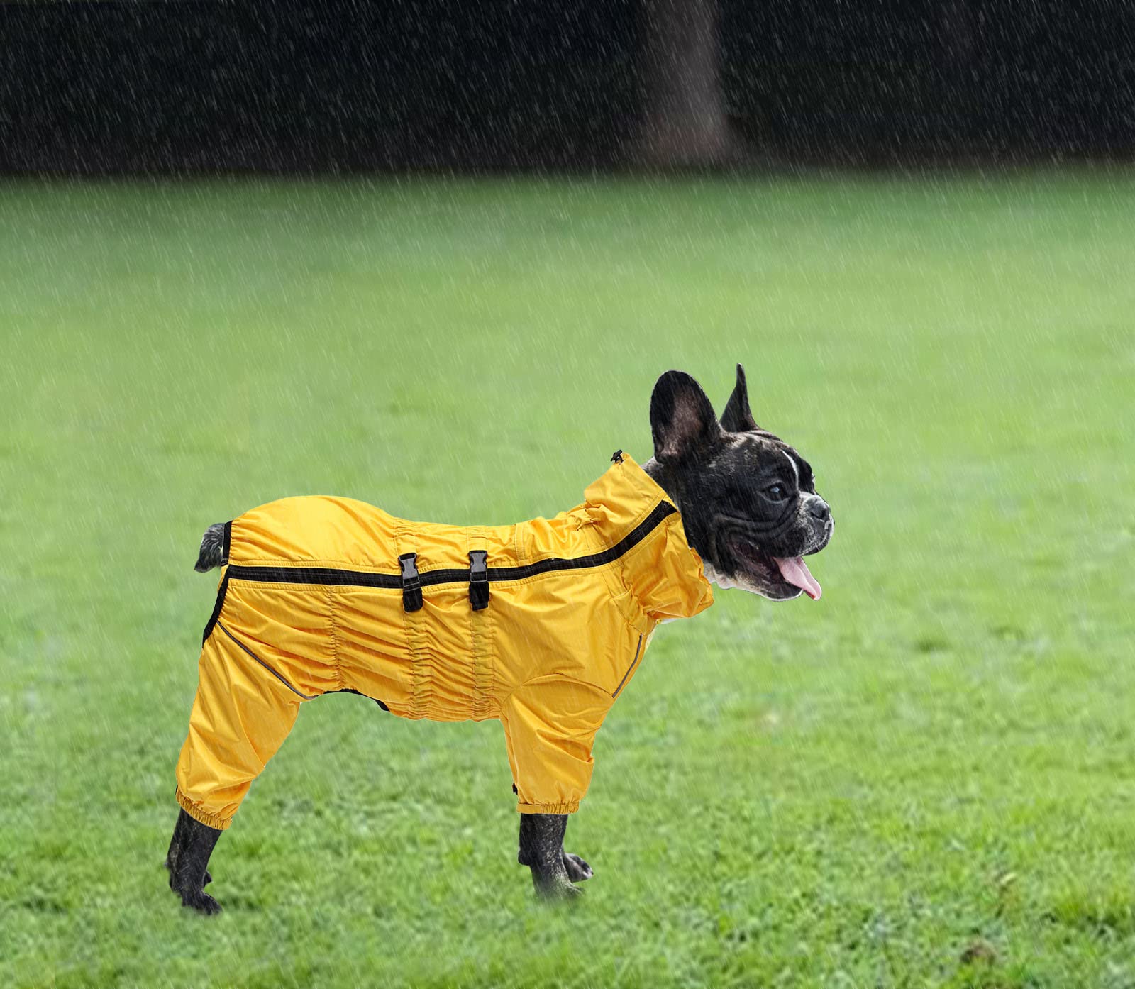 Geyecete - 1/2 zampe pantaloni tuta impermeabile per cani, 4 gambe riflettente pioggia impermeabile Gear per cani, Con cerniera e fibbia, per cuccioli piccolo e medio-Giallo-XXXL