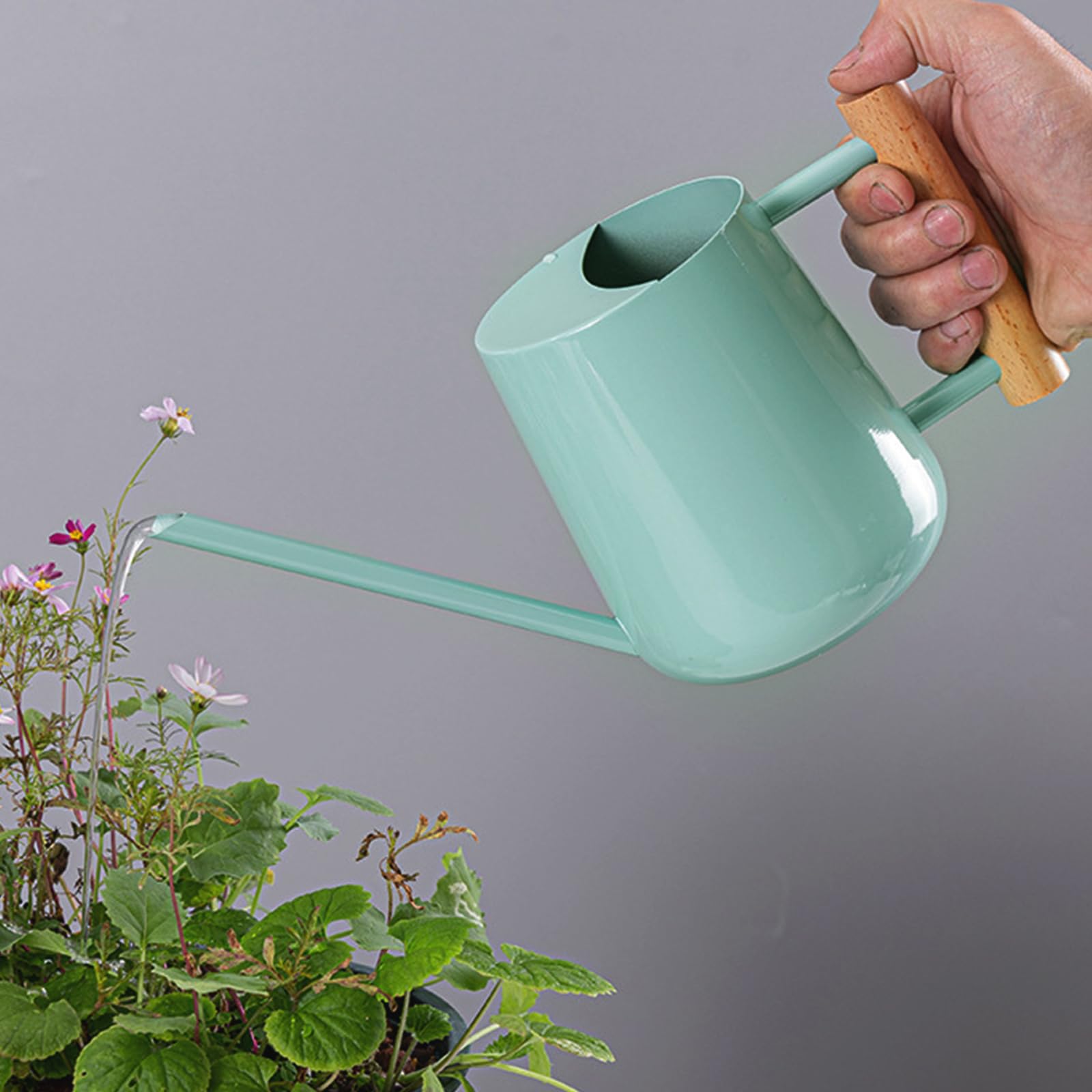 Arrosoir en Acier Inoxydable 1L(35oz), 1000ml Metal Arrosoir Petit pour Plante Interieur, Extérieures, Jardin, Jardinage avec Long Bec et Poignée en Bois Confortable - Bleu