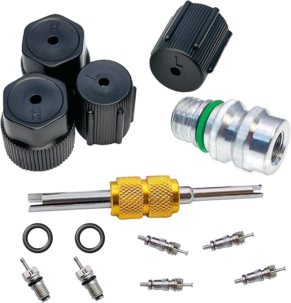 Air Conditioning Valve Core Kit Cap & Valve AC R12 R134a