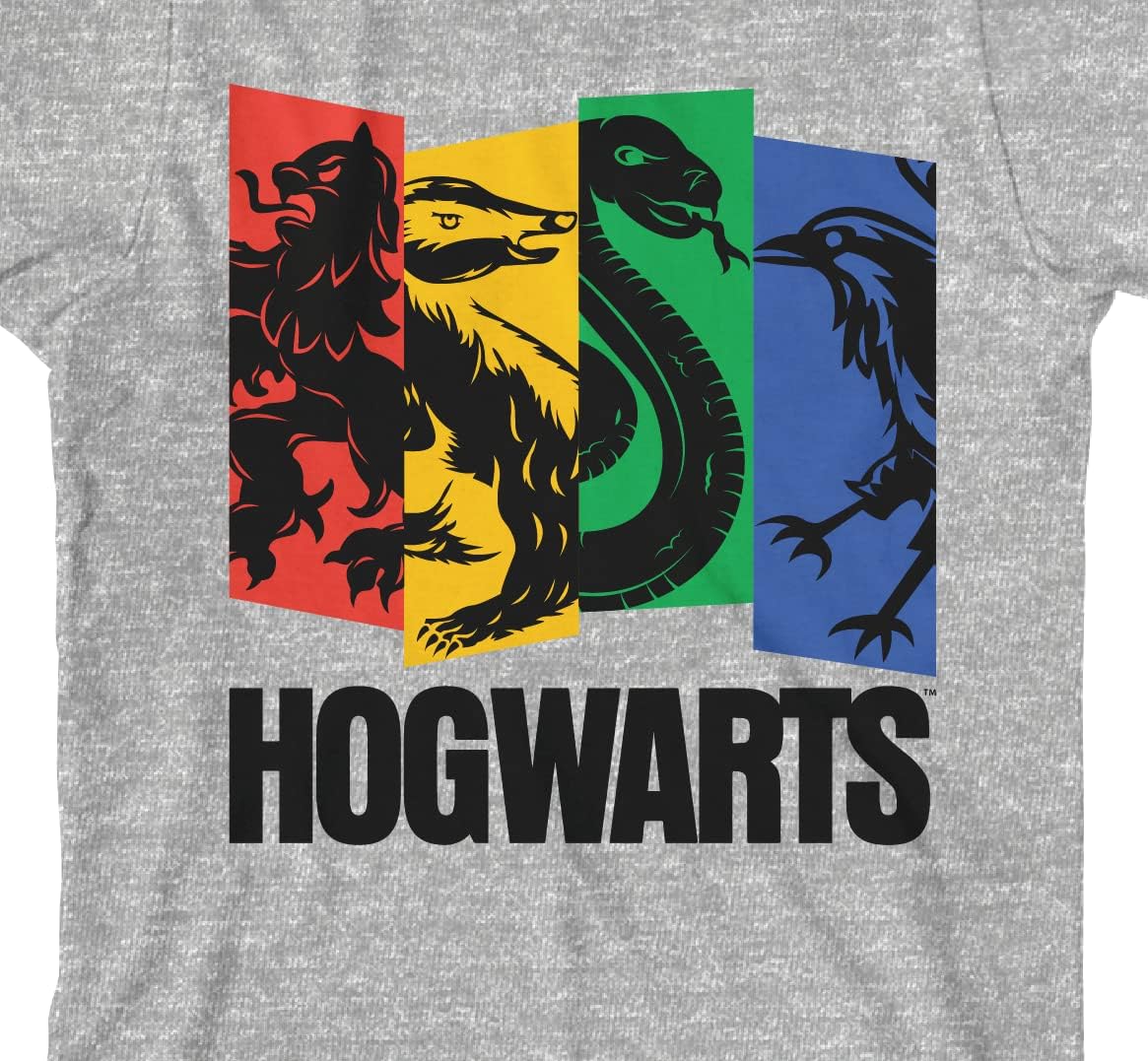Harry Potter 4 Hogwarts Houses Youth Boys Heather Gray T-Shirt