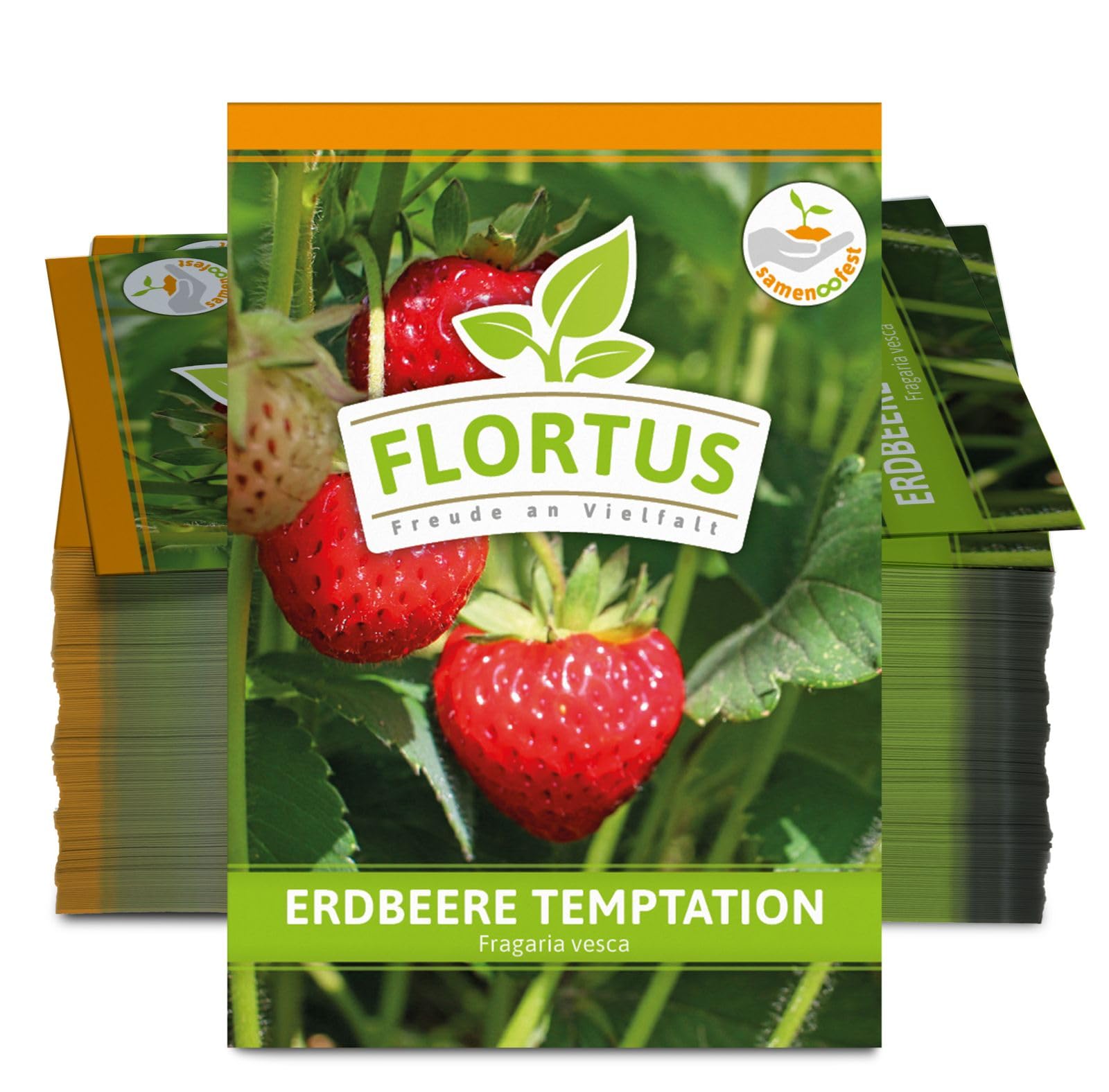 FLORTUS 2000-0772-100x Erdbeere Temptation (100 Tütchen) (Erdbeersamen)