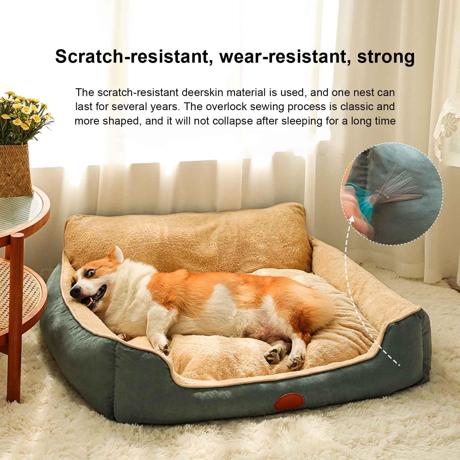 Cuccia Cane Interno, Cuccia Cane Soffice, Letto per Gatti con Fondo Antiscivolo, Copertura Sfoderabile per Lavaggio, per Animale Domestico Piccola Media,M