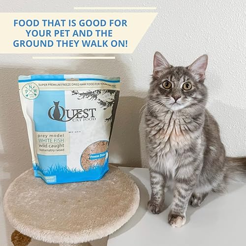 Miniatura 7 de Quest - Alimento para gatos liofilizado, pepitas crudas del tamaño de un bocado, receta de pescado blanco, comida cruda para gatos, 10 onzas