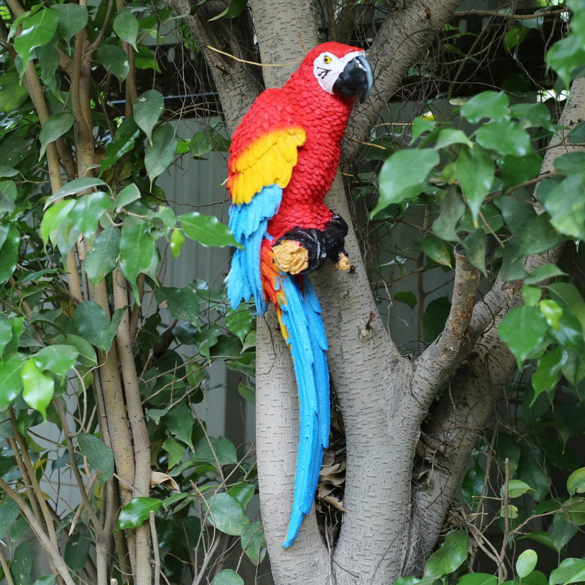 Wonderland Red Parrot to be Put on Wall, Home Decor, Garden Decor, Home Decoration, Parrots, Bird Decor, Balcony Decoration, Gift (B07H993Z4T) Amazon Price History, Amazon Price Tracker