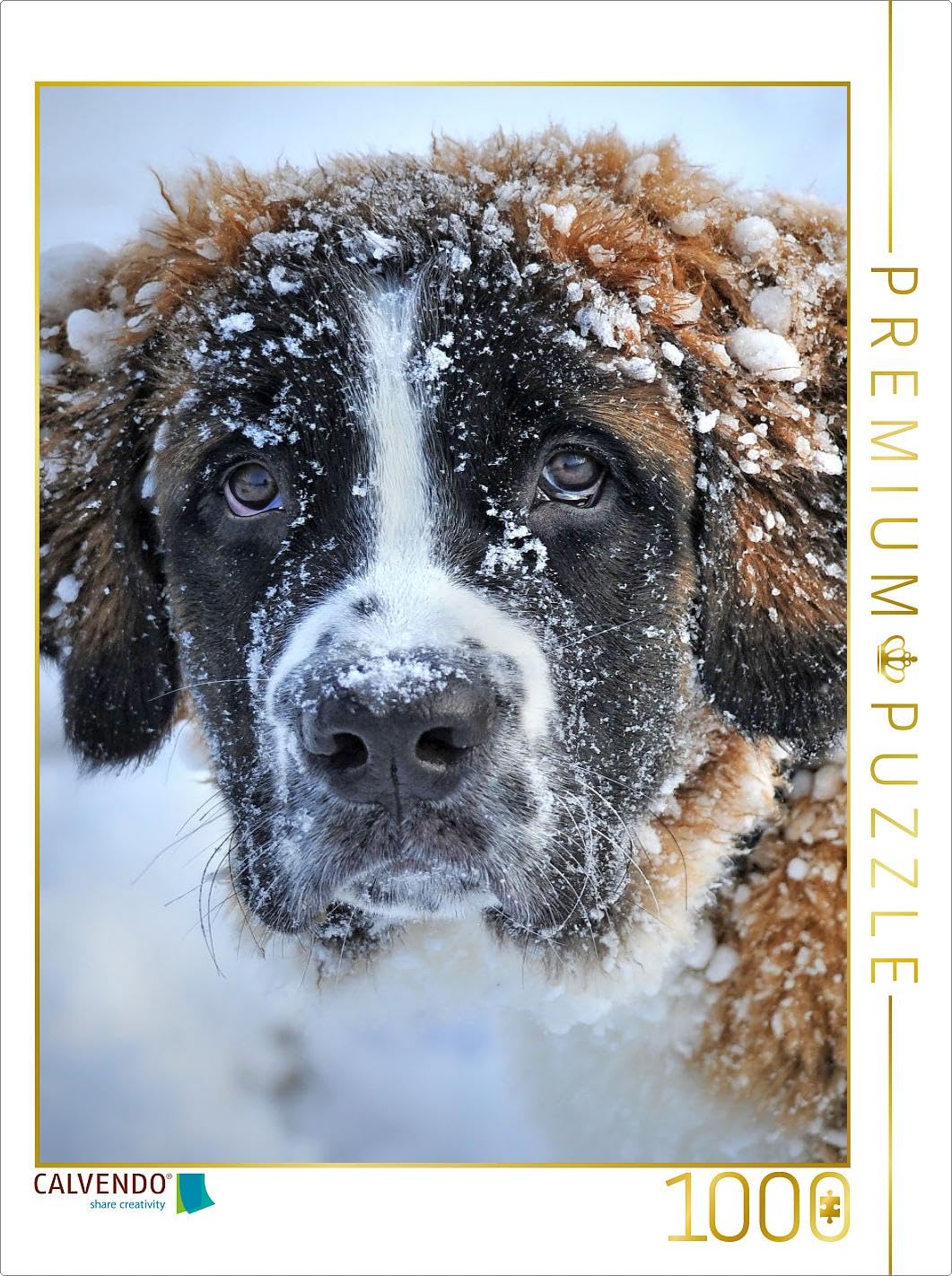CALVENDO Puzzle Saint Bernard 1000 Pieces 48 x 64 cm from Peter Roder