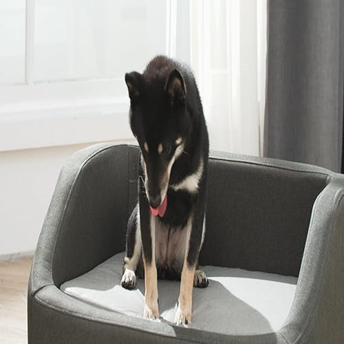 Miniatura 7 de Teamson Pets Bennett - Sofá de lino para mascotas con pie de madera y funda lavable, color gris