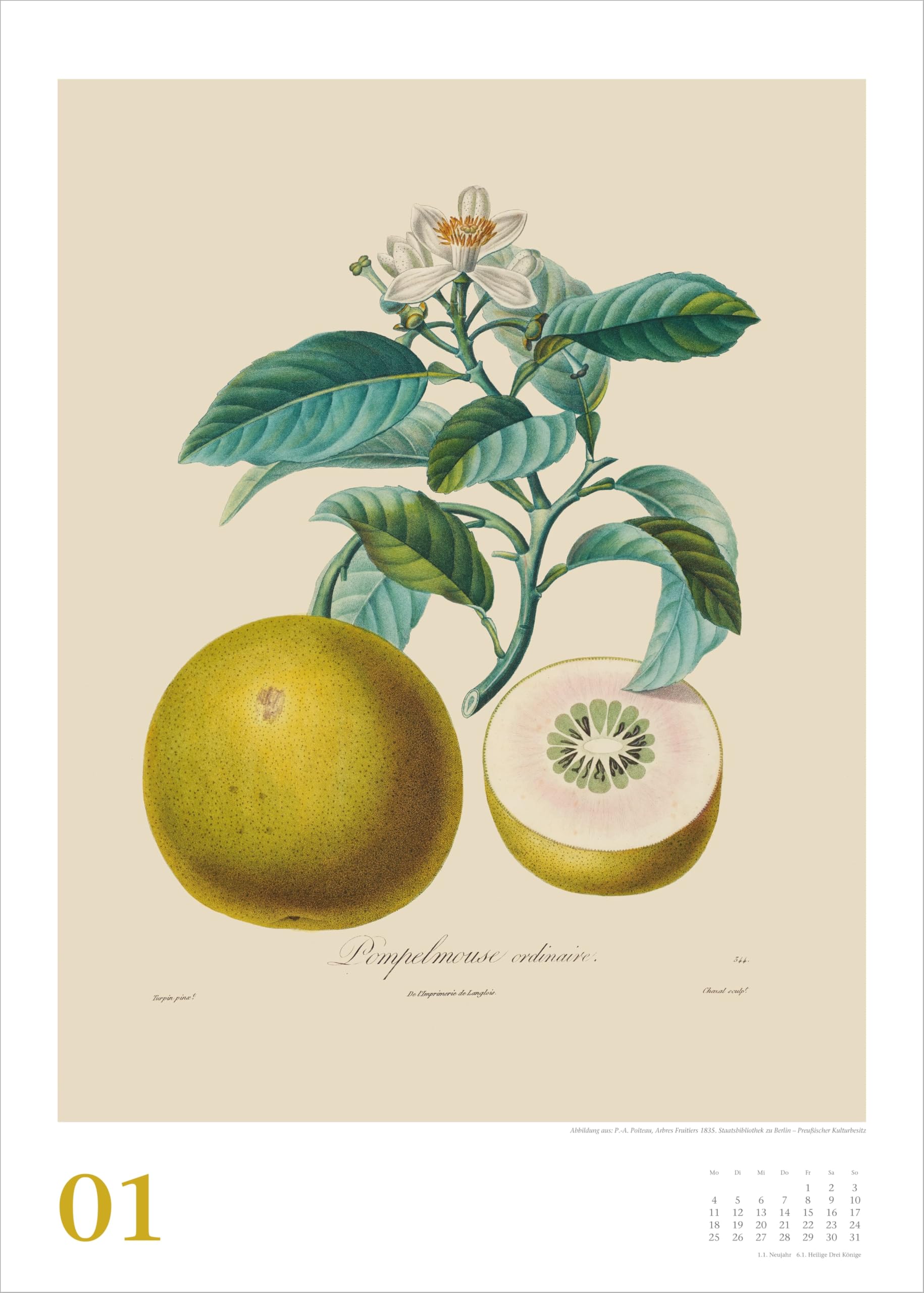 Alte Obstsorten 2027: Wandkalender 50x70 cm mit historischen Illustrationen von Pierre Antoine Poiteau und Spiralbindung