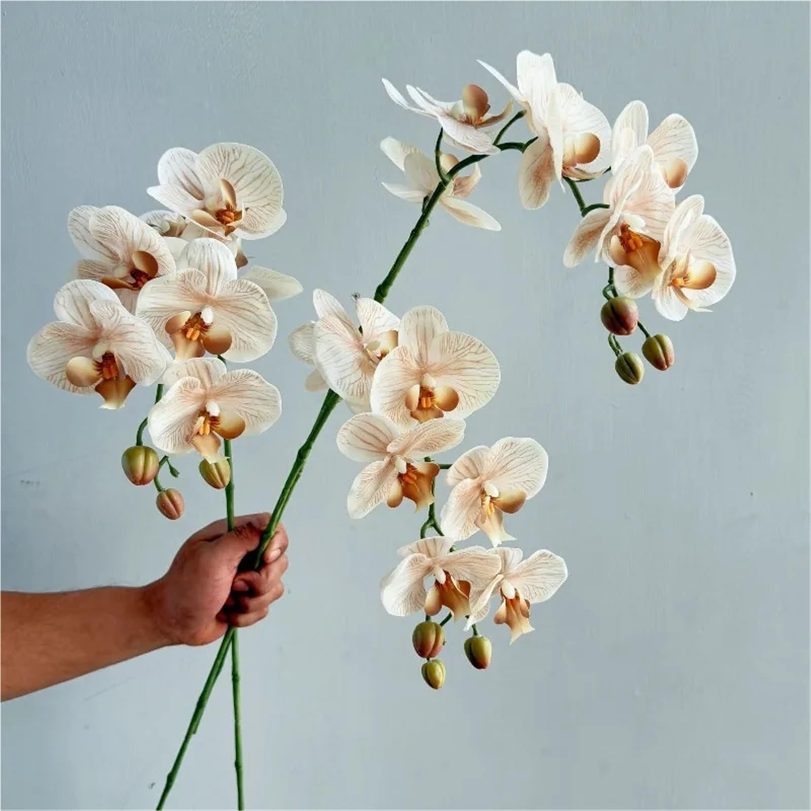 Orchidée papillon artificielle Fleurs d'orchidées papillon en latex