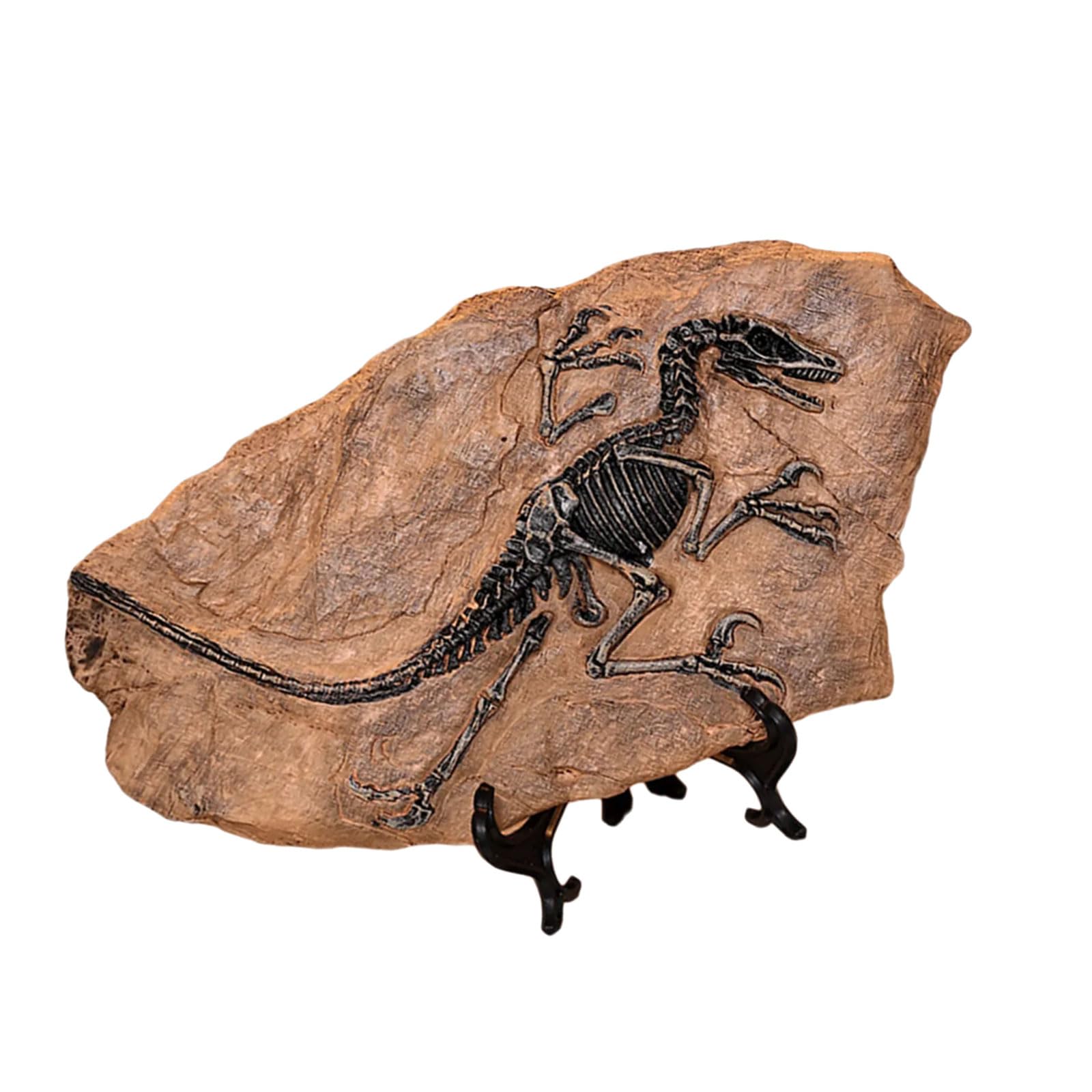 Harze Fossilien Dinosaurier Modell Realistische Skelett Repliken Statue Dekoration Für Home Office Desktop Regal Sammler Dekoration