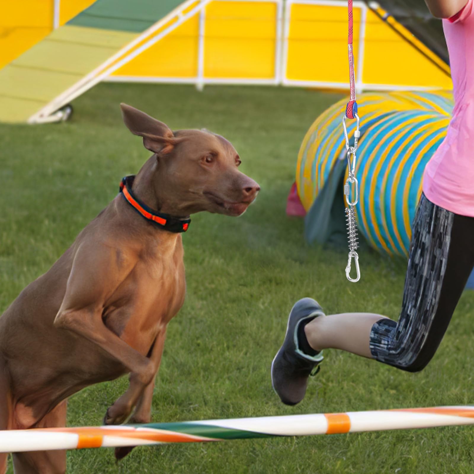 GANAZONO Cuerda para Atar Perros Resorte de Acero Inoxidable, 1 Juego | Algodón, Reutilizable y Resistente Deformación, para Parques y Vacaciones