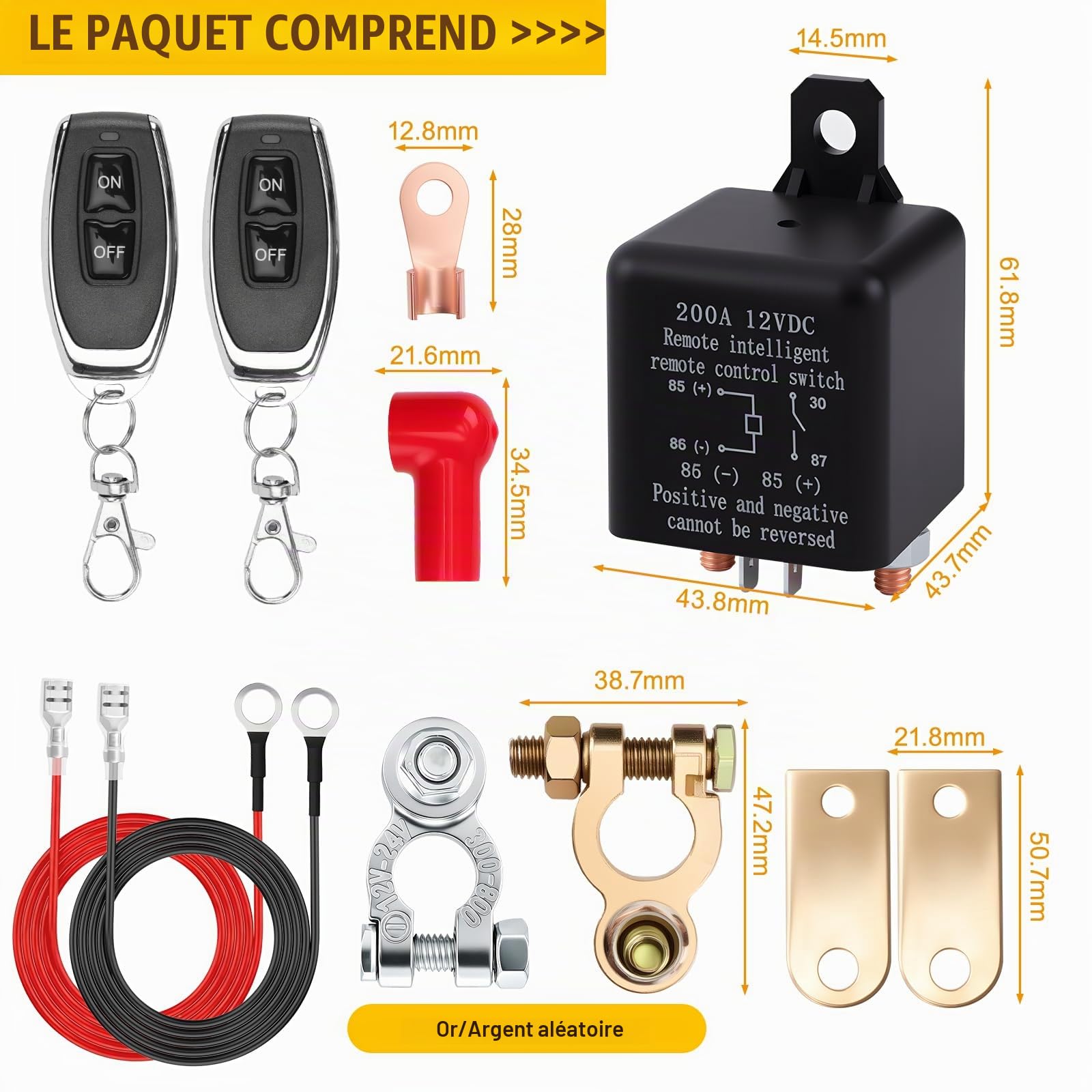 Coupe Circuit Batterie 12V, DC12V 200A Coupe Batterie à Distance, Avec 2 Télécommandes, Antivol,pour Voiture, Bateau, Camion, RV