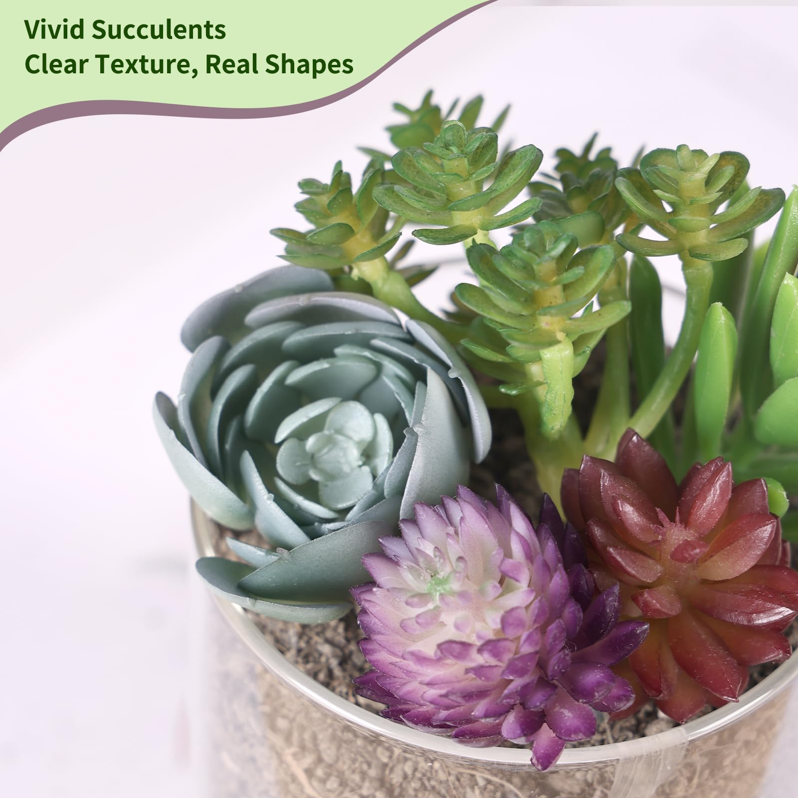 CEWOR 14 künstliche Sukkulenten, ungetopft, realistisch, strukturiert, Sukkulenten, Mini-Sukkulenten, Premium-Dekor für Heimwerker, Basteln, Zuhause, Blumenwand, Gartenarrangement, Bürodekoration