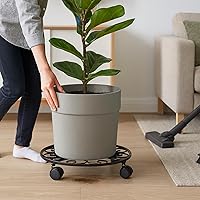 Vista 8 de Paquete de 5 soportes con ruedas para plantas de servicio pesado de 12 pulgadas, soporte metálico para plantas con ruedas, carretilla para plantas