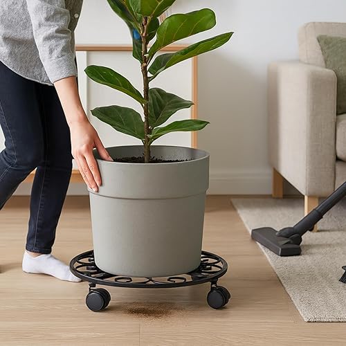 Miniatura 8 de Paquete de 5 soportes con ruedas para plantas de servicio pesado de 12 pulgadas, soporte metálico para plantas con ruedas, carretilla para plantas,