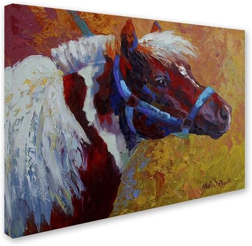 Miniatura 2 de Pony Boy 1 por Marion Rose - Lienzo decorativo para pared, 24 x 32 pulgadas