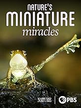 Nature's Miniature Miracles