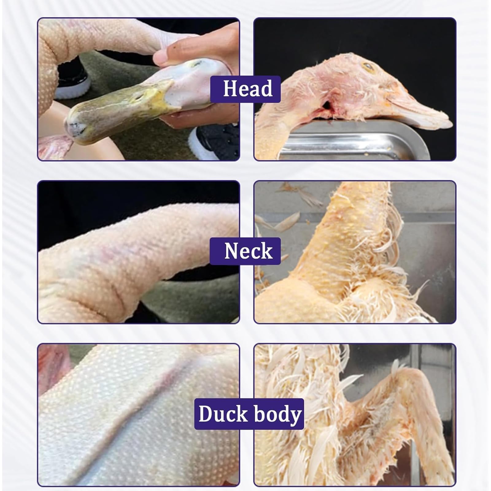 Desplumador de aves de corral de mano, eléctrico de plumas, pavo, pollo, aves de corral, con accionamiento de 3 ejes, ajuste automático de tensión, para pollo, pato, ganso, pavo