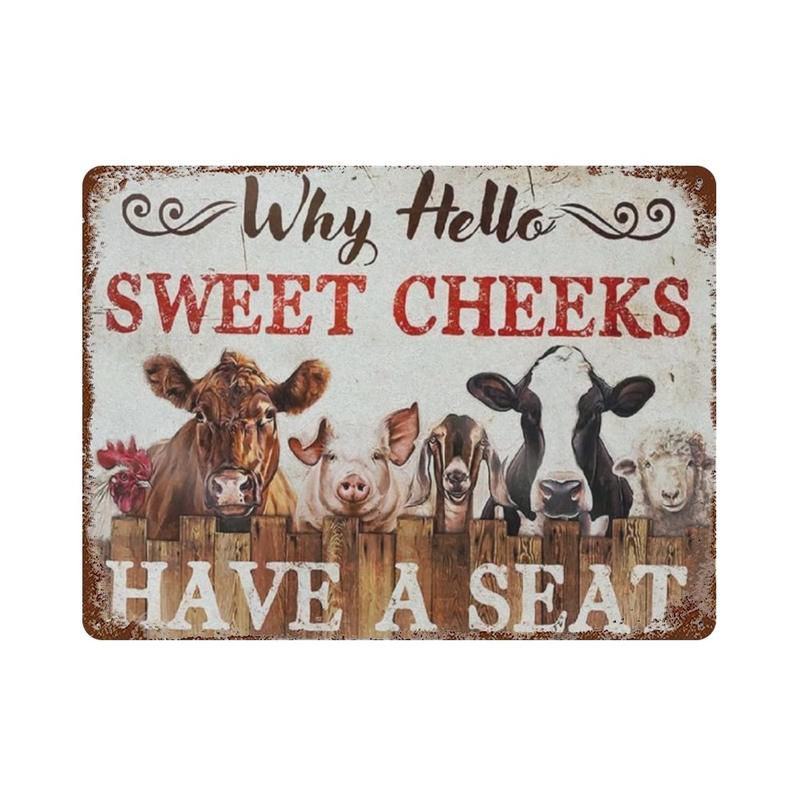 AOOEDM Why Hello Sweet Cheeks Vintage Metal Tin Sign for Home Coffee Shop Office Wall Art Metal Poster Garage Decor Man Cave Sign Inspirational Quote Wall Decor