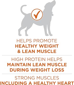 Purina One +Plus Dry Dog Food High Protein Healthy Weight, Real Turkey - 40 lb Bag