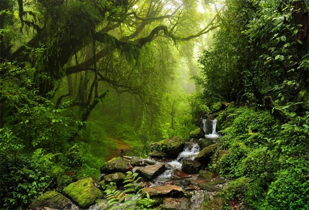 LFEEY 7x5ft Graceful Natural Scenery Backdrop Evergreen Forest Jungle Rock Flowing Mountain Stream Rainforest Photography Background Birthday Party Events Photo Studio Props