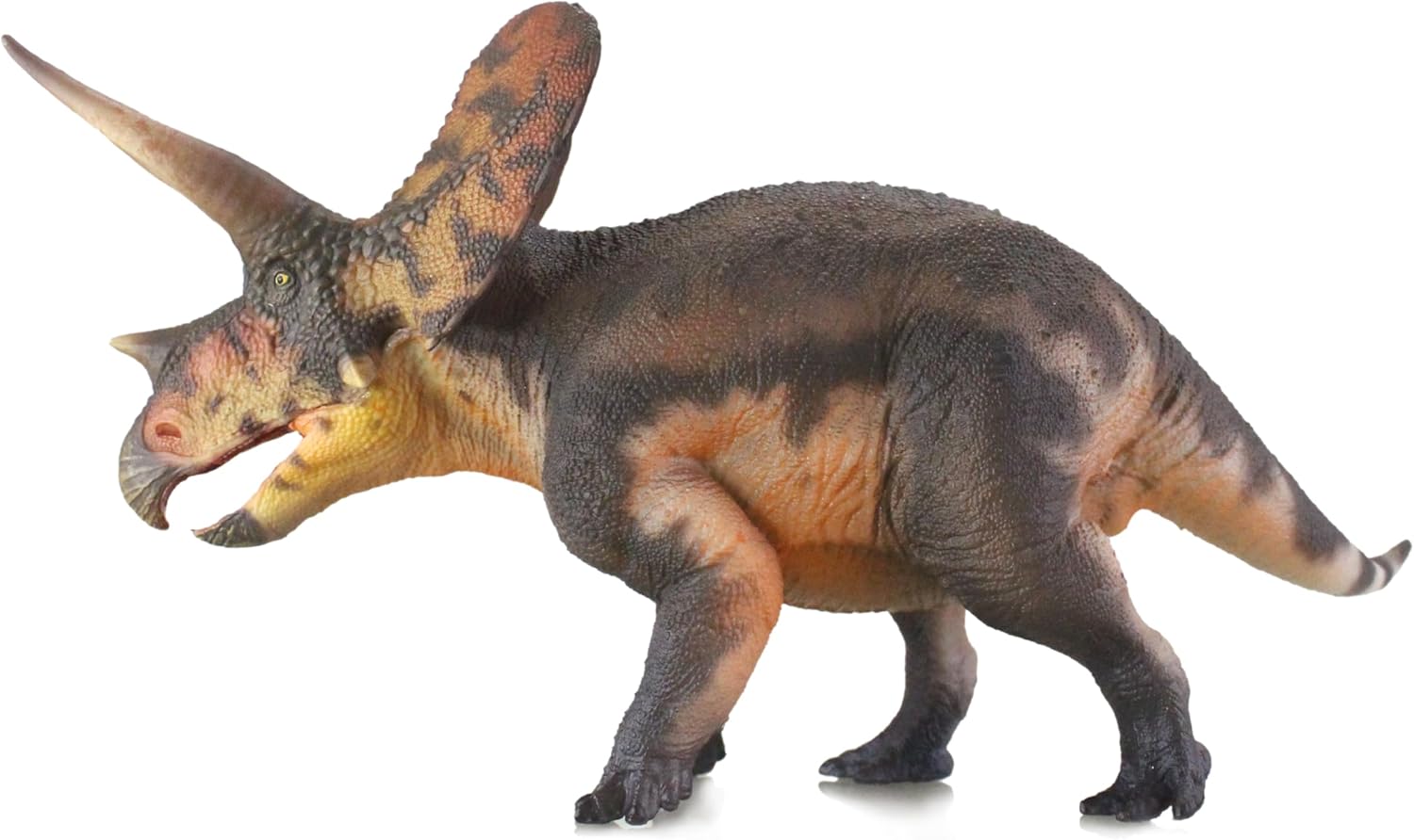 New Torosaurus 1：35 Science and Art Model (Shan Xiong Xin)
