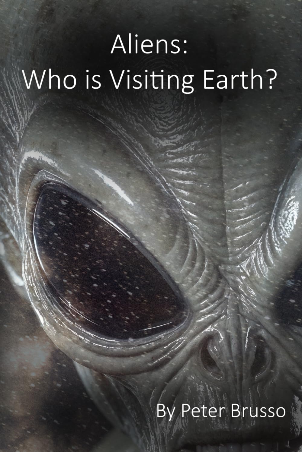 Aliens: Who is Visiting Earth?
