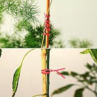 Vista 5 de Tangyinrd 300 lazos de plástico rojo de 6 pulgadas, bridas para cables, para bolsos, herramientas de jardinería