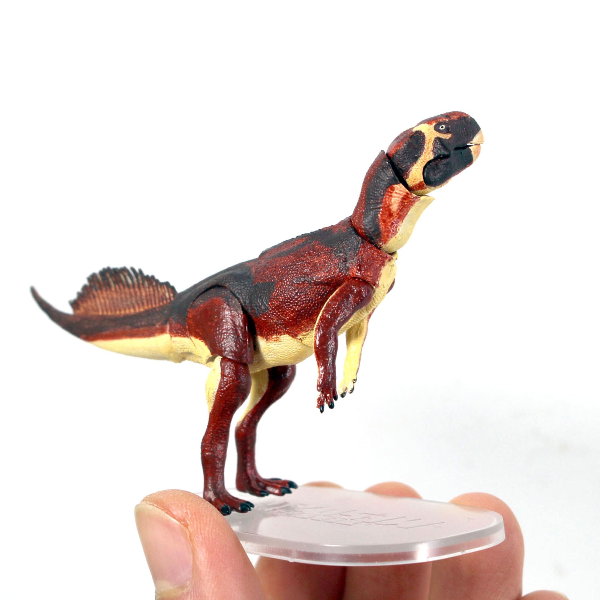 Amazon.co.jp: Everything Dinosaur Beasts of the Mesozoic 1/18th
