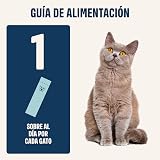 Ver la foto 5