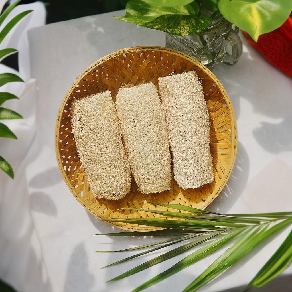 Loofah Sponge – Natural Bathing Scrub Pack of 3-image-26