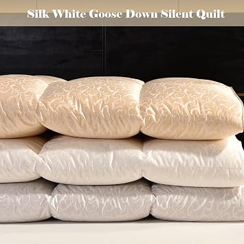 Goose Feathers Down Comforter, Warm Down Duvet Insert, Fluffy Feather Down Comforter, Ultra-Soft Down Proof Cover, Noiseless Duvet 220x240cm 2.8kg