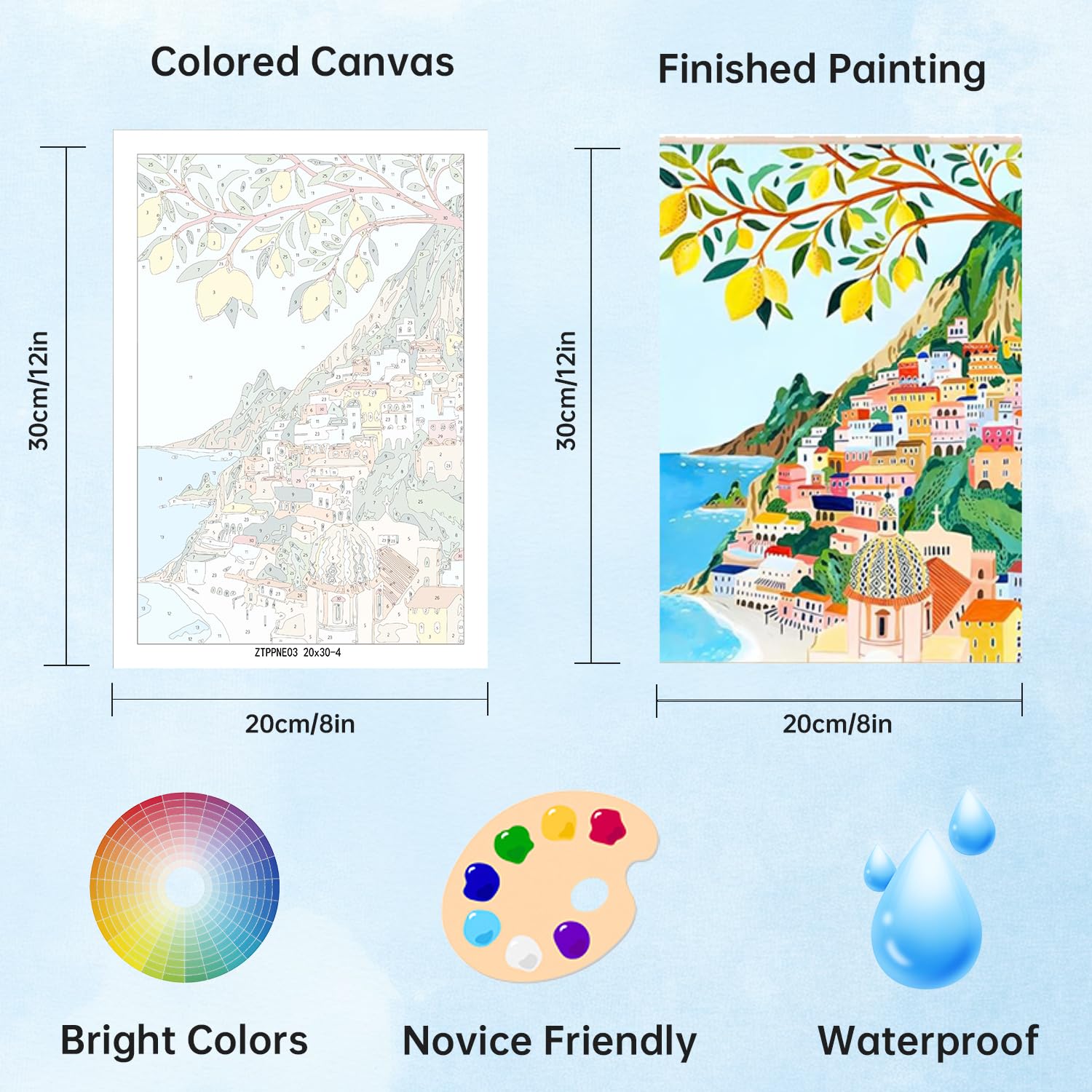 Pack De 6 Pinturas Por Números Para Adultos BUOSHUO: Lienzos 20x30 Cm Con Pinceles Y Acrílicos, Kit DIY Decoración Pared