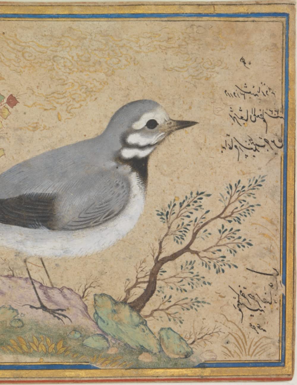 Bird Notebook: Early Persian Artist Journal for Epic Scholars, Inveterate Notetakers and College and University Students College Ruled 8.5 x 11 inch dimensions
