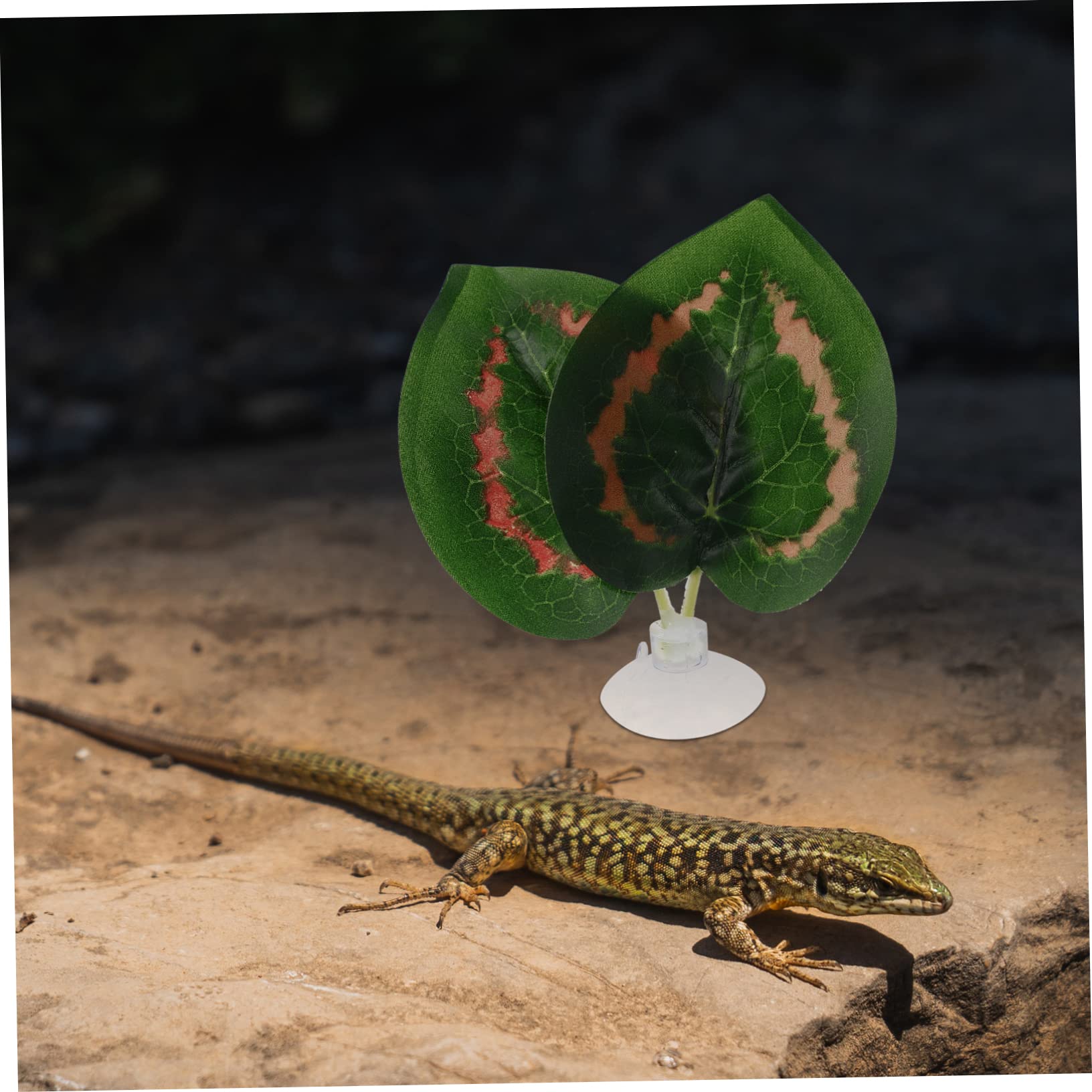 BESPORTBLE 25stücke Teiliges Künstlicher Pflanzen Für Terrarien Dekorative Pflanzen Für Reptilien Fische Schildkröten Realistische Aquarien Und Terrarium-Dekoration Aus Hochwertigem