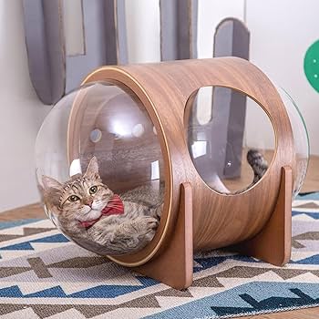 Amazon | 宇宙船 猫ハウス ペットベッド ドーム 床置き 猫ハウス
