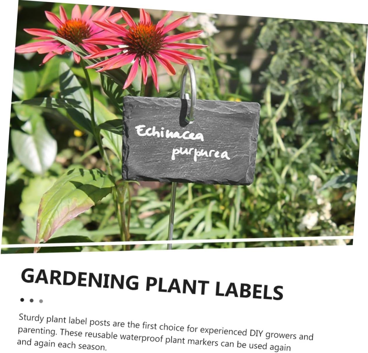 Garden Plant Labels 12-Piece Set for Outdoor Use Waterproof Chalkboard Tags for Herb and Flower Marking Reusable Tree Identification in Outdoor Gardens