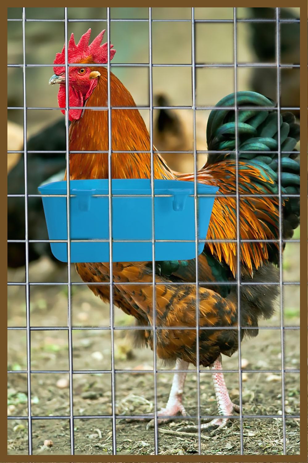10 cuencos de 25 onzas líquidas para mascotas, tazas de agua, comederos colgantes, bebederos de alimentos, recipientes de golosinas, contenedor de gránulos, dispensador de grano para pollo,