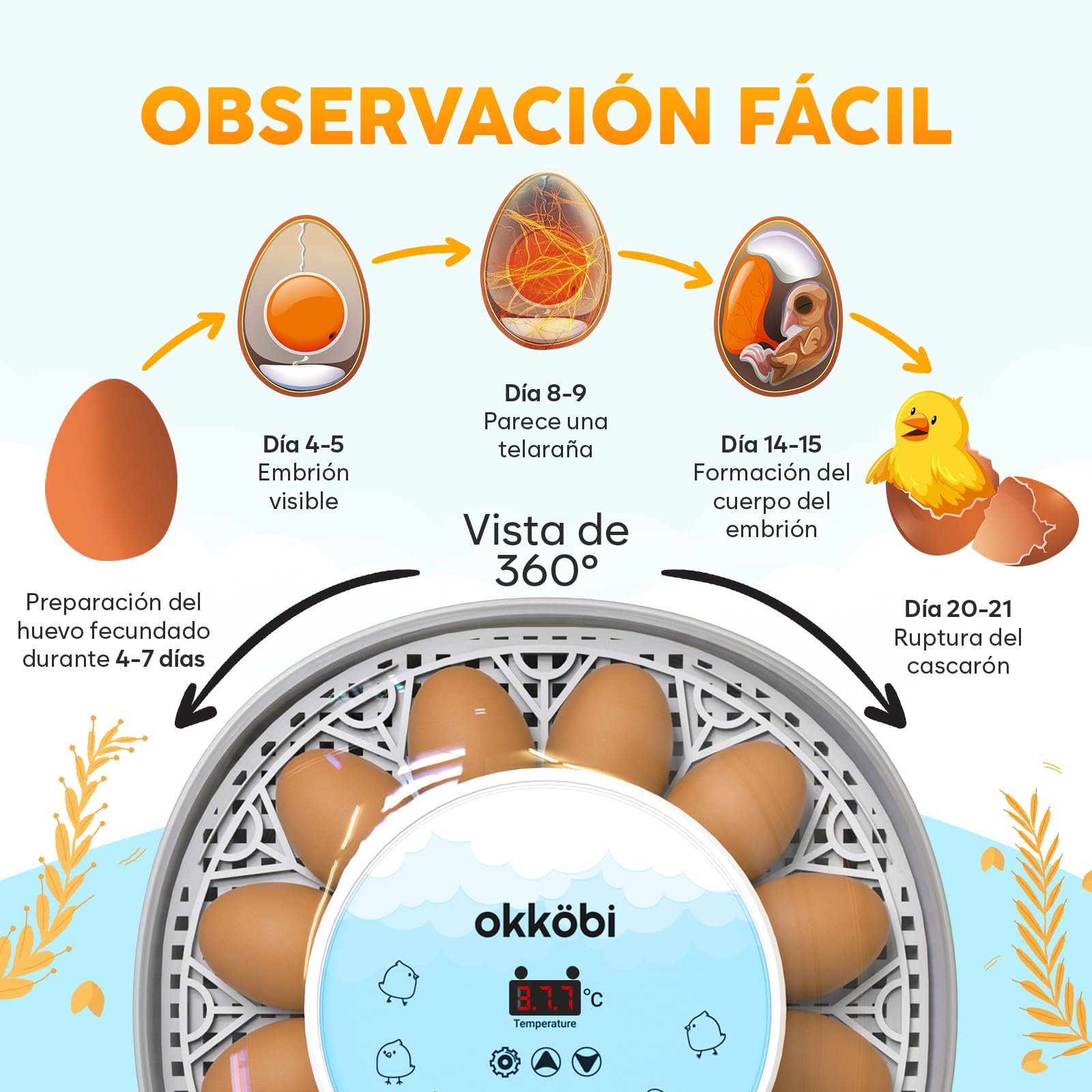 Okkobi M12 - Incubadora Huevos Gallina Automática - 12/24 huevos, Vista 360°, fácil de usar y limpiar - Volteo Automático y Control de Humedad - Chocadeira Ovos Automática