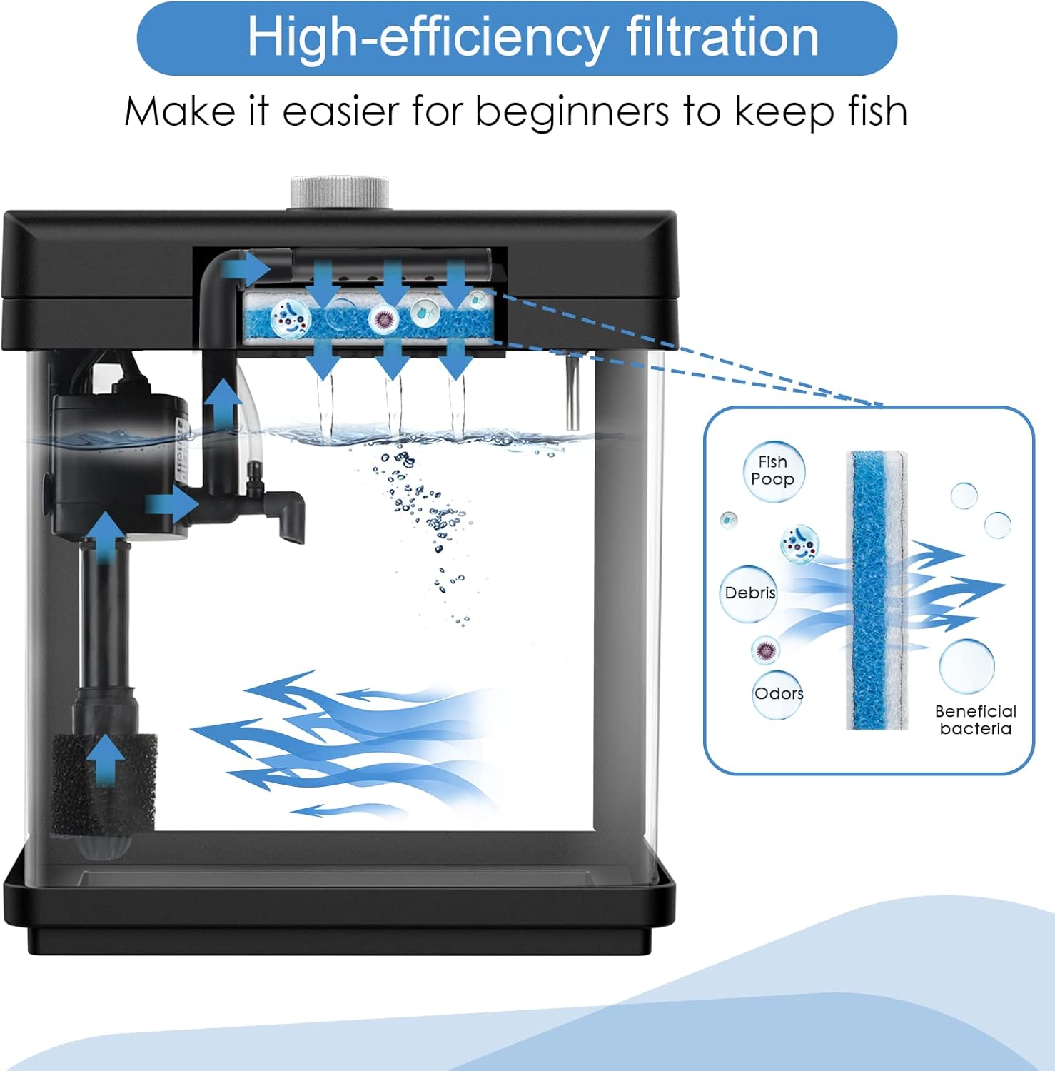 Diagram illustrating high-efficiency filtration process in the AQQA aquarium