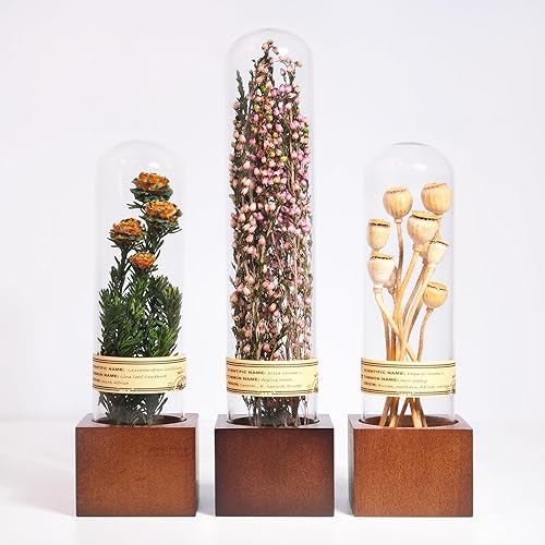 Miniatura 12 de 3 piezas de decoración de flores secas, adornos para estantes, cosas geniales para estanterías, decoración de plantas pequeñas para estantes de Trío