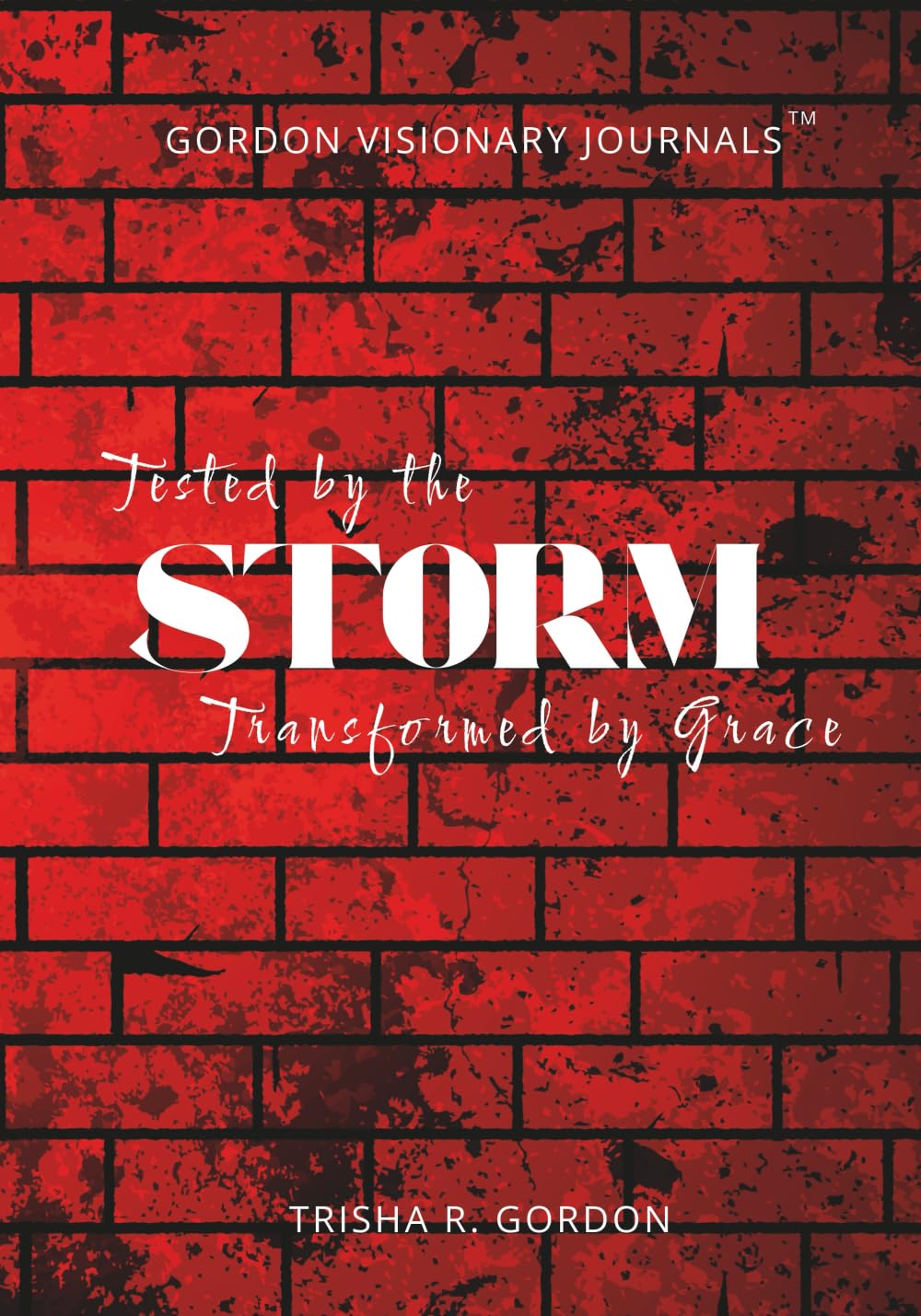 STORM: Tested by The Storm but Transformed by Grace