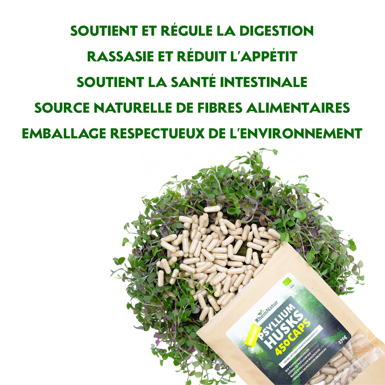 Gélules de psyllium bio RheinNatur - 450 unités