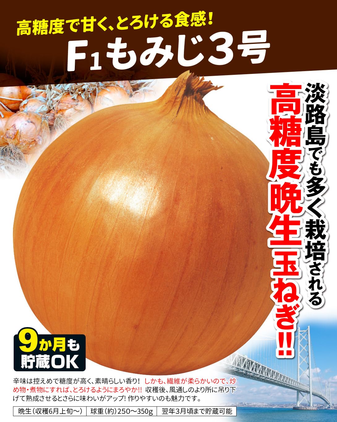 Amazon.co.jp: 玉ねぎ苗(晩生)F1もみじ3号 100本 / 国華園 25年秋 Amazon.co.jp: 玉ねぎ苗(晩生)F1もみじ3号 100本 / 国華園 25年秋
