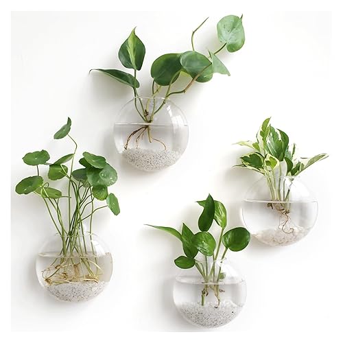 Mkono Wall Hanging Planter Propagation Station Glass Flower Vase for