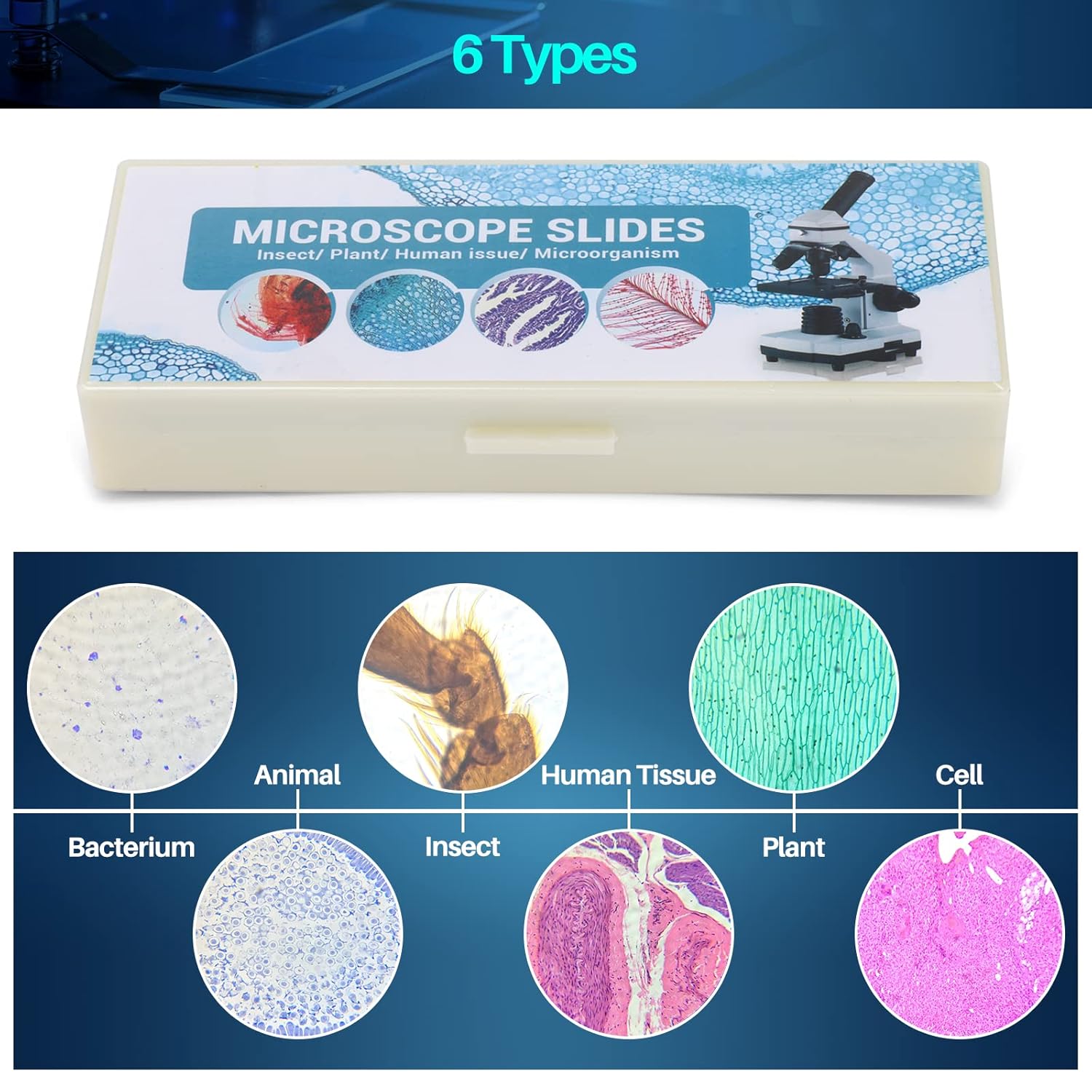 60 Pcs Prepared Microscope Slides Kit with Specimens, Microscope Slide