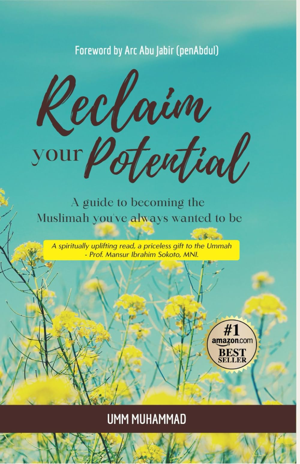 Reclaim your Potential: A guide to becoming the Muslimah you've always wanted to be