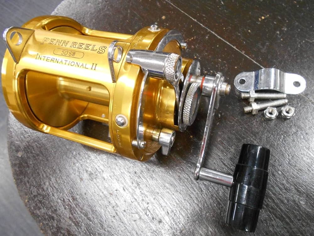 PENN 50SW (ペン) リール USA製 INTERNATIONAL Ⅱ 【公式通販】