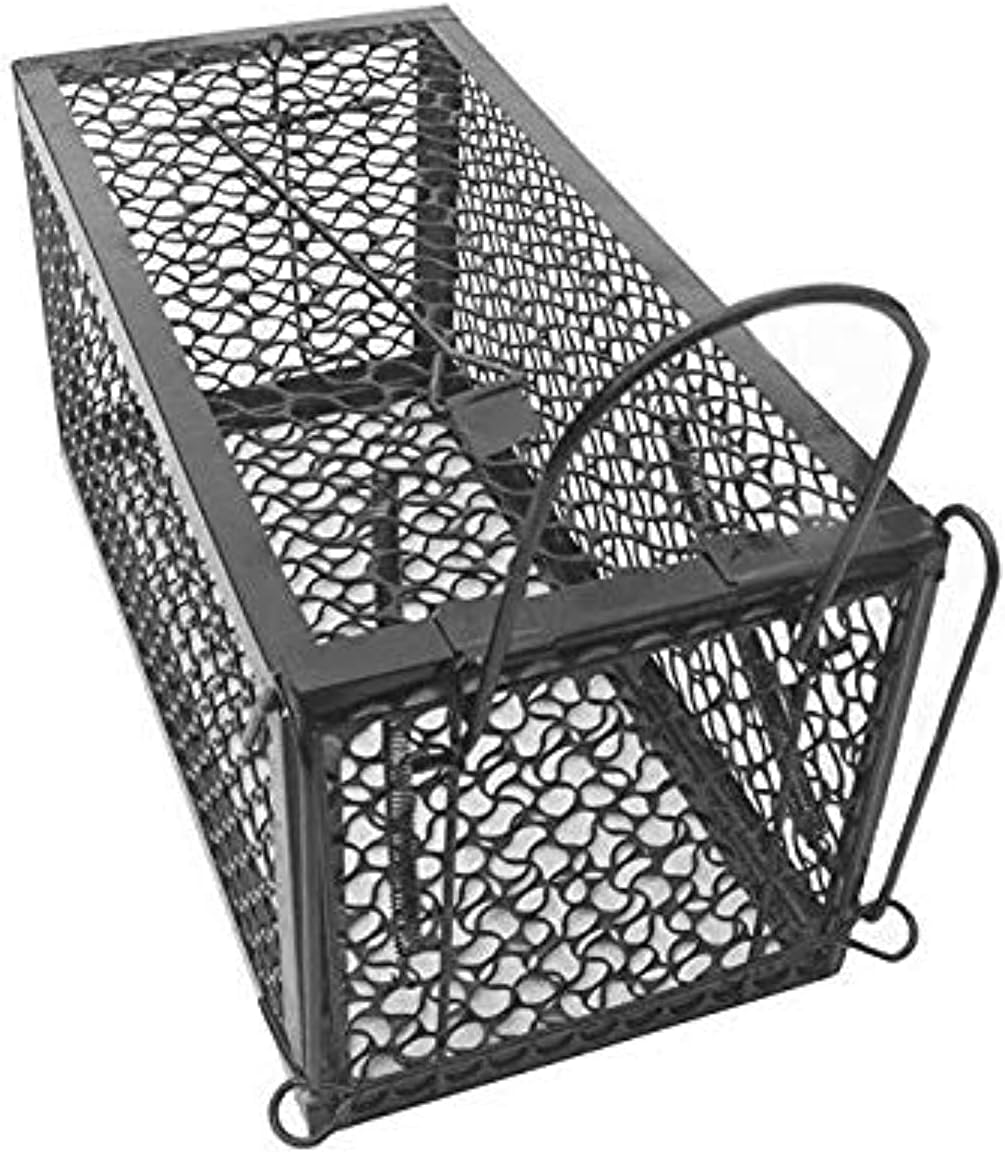 Effective and Quick Mice, Rat Snap Traps